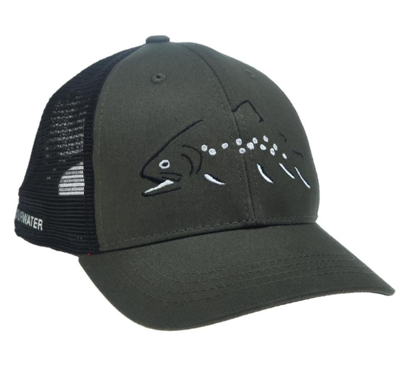 Rep Your Water Hat Minimalist Brookie Hat Rep Your Water Hat Minimalist Brookie Hat